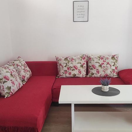 Apartmani Maslina Žuljana 客房 照片