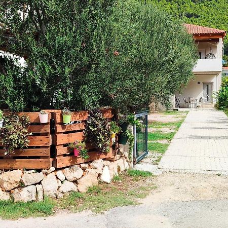 Apartmani Maslina Žuljana 外观 照片