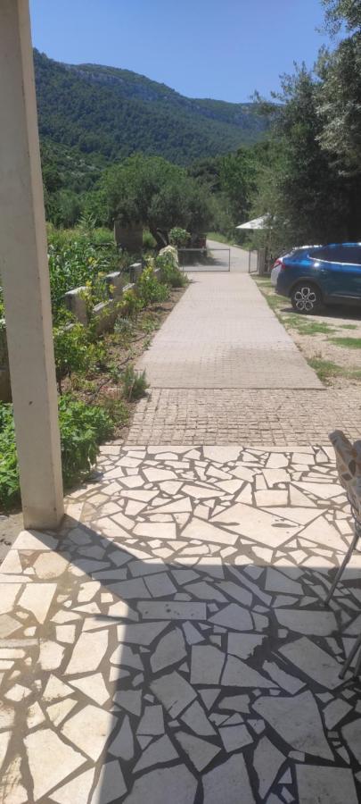 Apartmani Maslina Žuljana 外观 照片