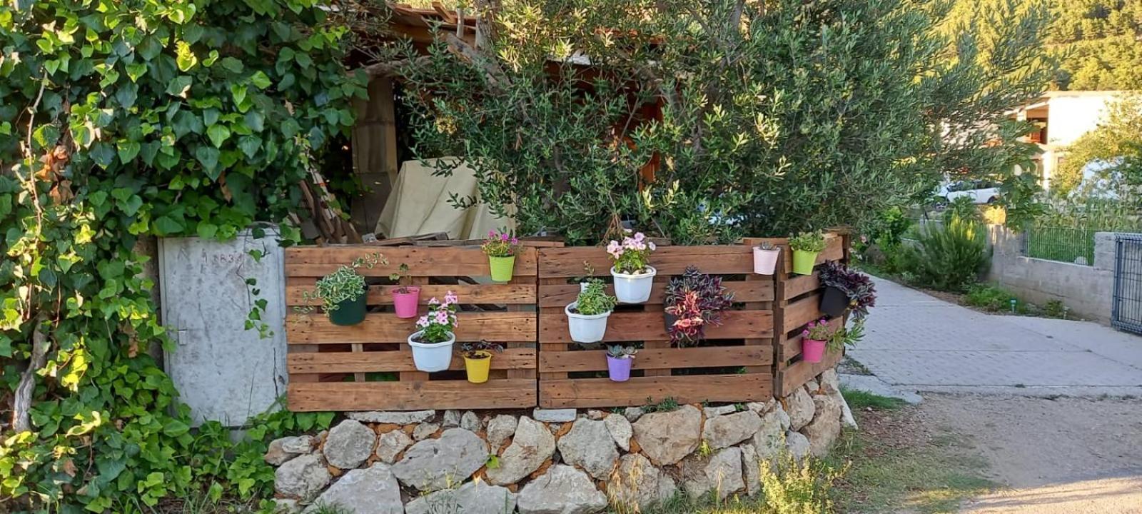 Apartmani Maslina Žuljana 外观 照片